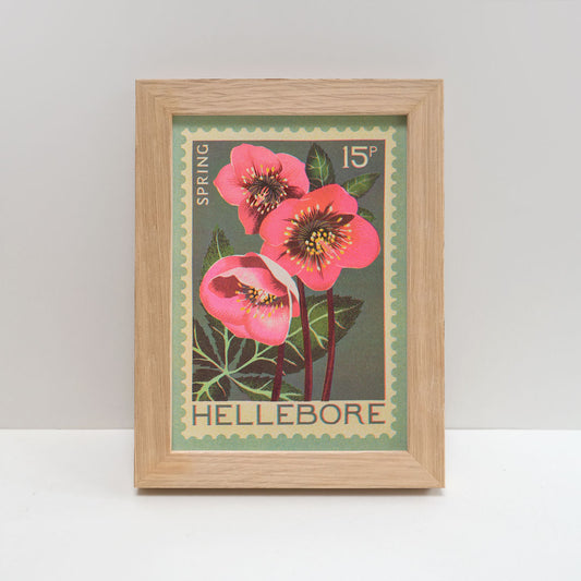 Printer Johnson, Vicki Johnson | Hellebore, Risograph Print, A5