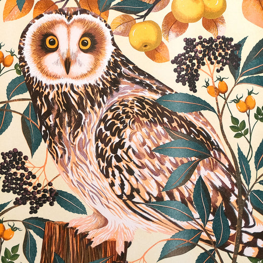 Printer Johnson, Vicki Johnson | Autumn Owl, Risograph Print, A3