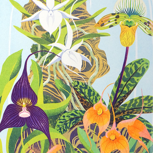 Printer Johnson, Vicki Johnson | Orchid Bell Jar, Risograph Print, A3