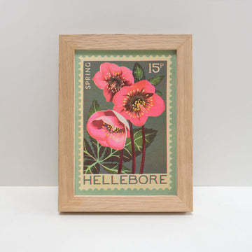 Printer Johnson, Vicki Johnson | Hellebore, Risograph Print, A5