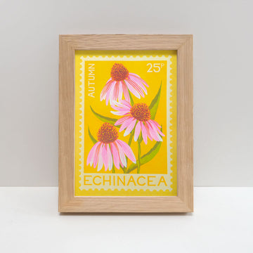 Printer Johnson, Vicki Johnson | Echinacea, Risograph Print, A5