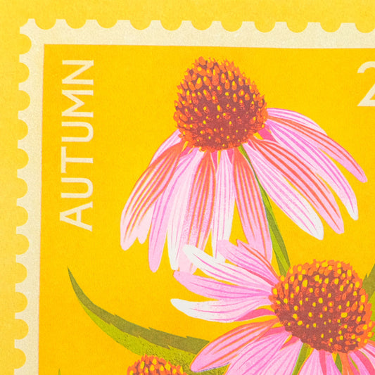 Printer Johnson, Vicki Johnson | Echinacea, Risograph Print, A5