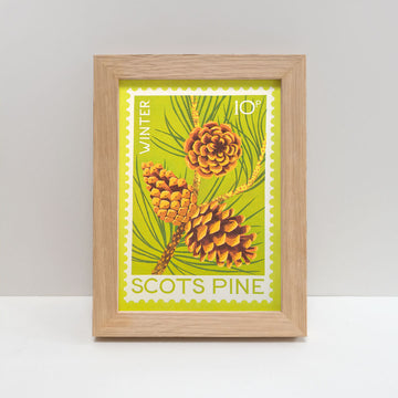 Printer Johnson, Vicki Johnson | Scots Pine, Risograph Print, A5