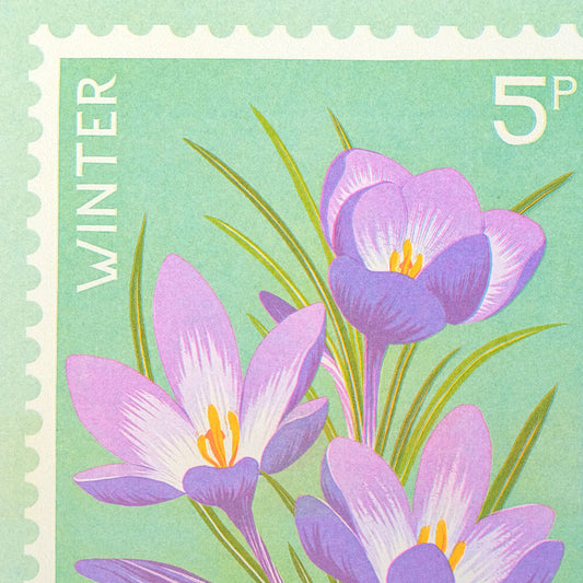 Printer Johnson, Vicki Johnson | Crocus, Risograph Print, A5