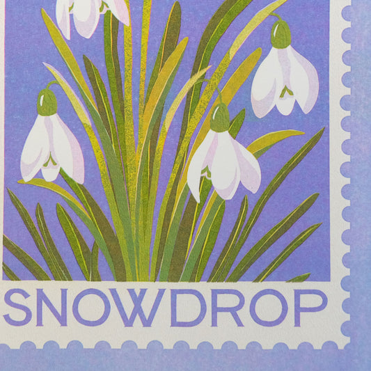 Printer Johnson, Vicki Johnson | Snowdrop, Risograph Print, A5